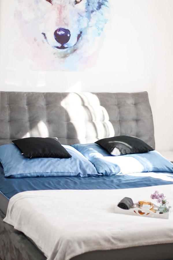 Apartamenty Olenka I - Szczytno Mazury מראה חיצוני תמונה